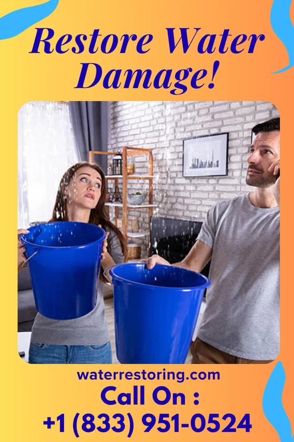 water restoration Platinum Water Works Experts New Hope