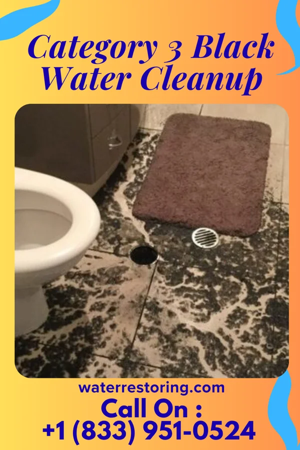 Category 3 Black Water Cleanup in New Hope, PA