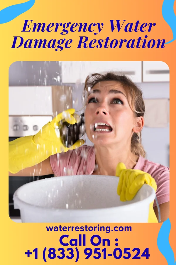 Emergency Water Damage Restoration in New Hope, PA