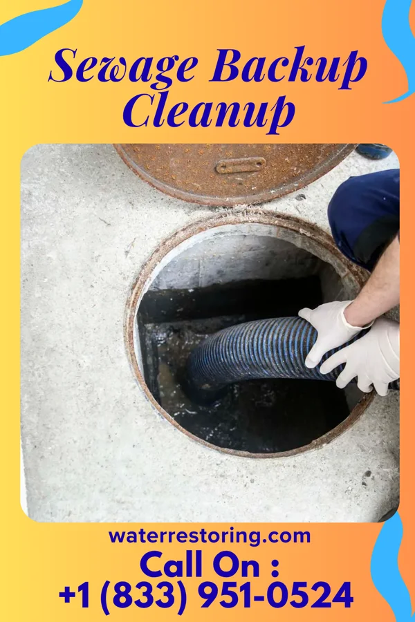 Sewage Backup Cleanup in New Hope, PA