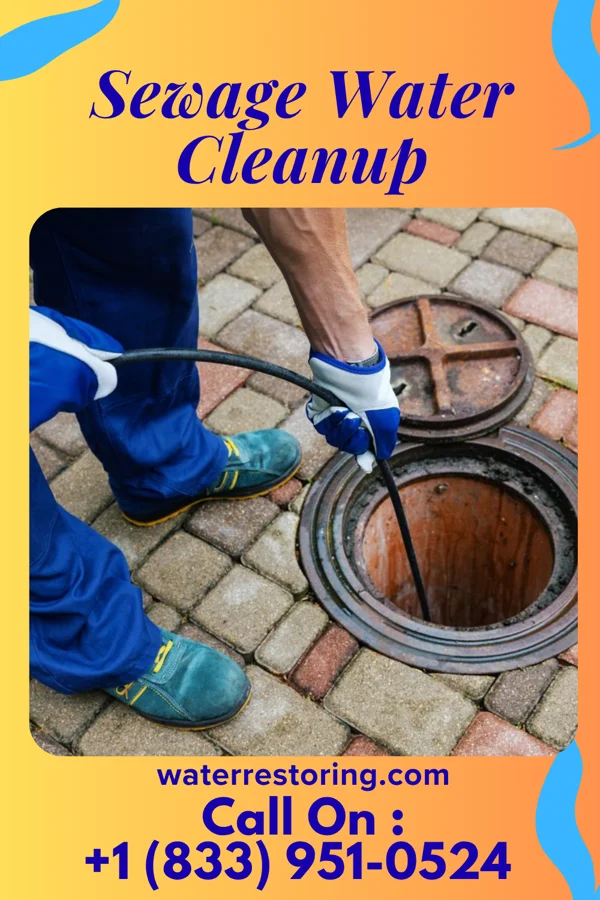 Sewage Water Cleanup in New Hope, PA
